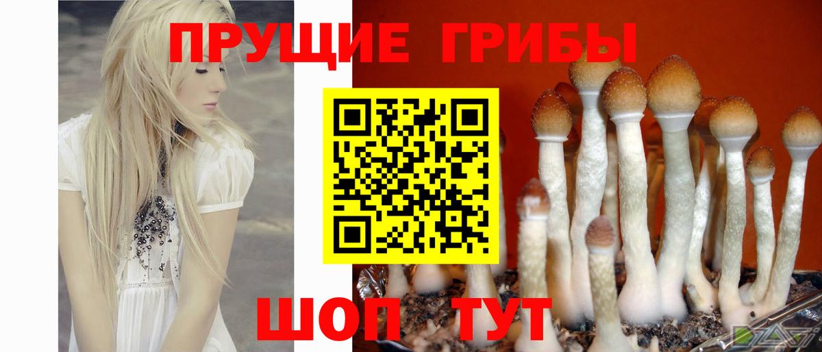 Галлюциногенные грибы Psilocybine cubensis  Вход с VPN  Галлюциногенные грибы GOLDEN TEACHER  Ухта 